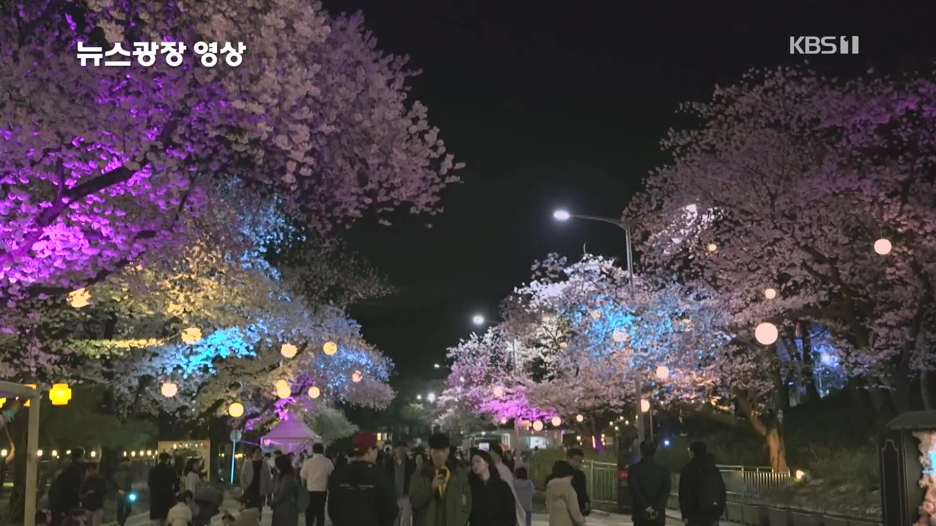 [뉴스광장 영상] 밤에 더 이쁘다, 벚꽃 야경