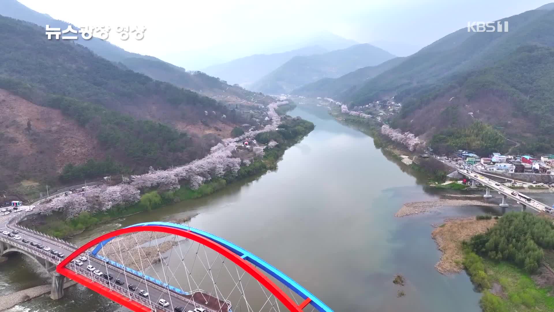 [뉴스광장 영상] 섬진강에 핀 봄