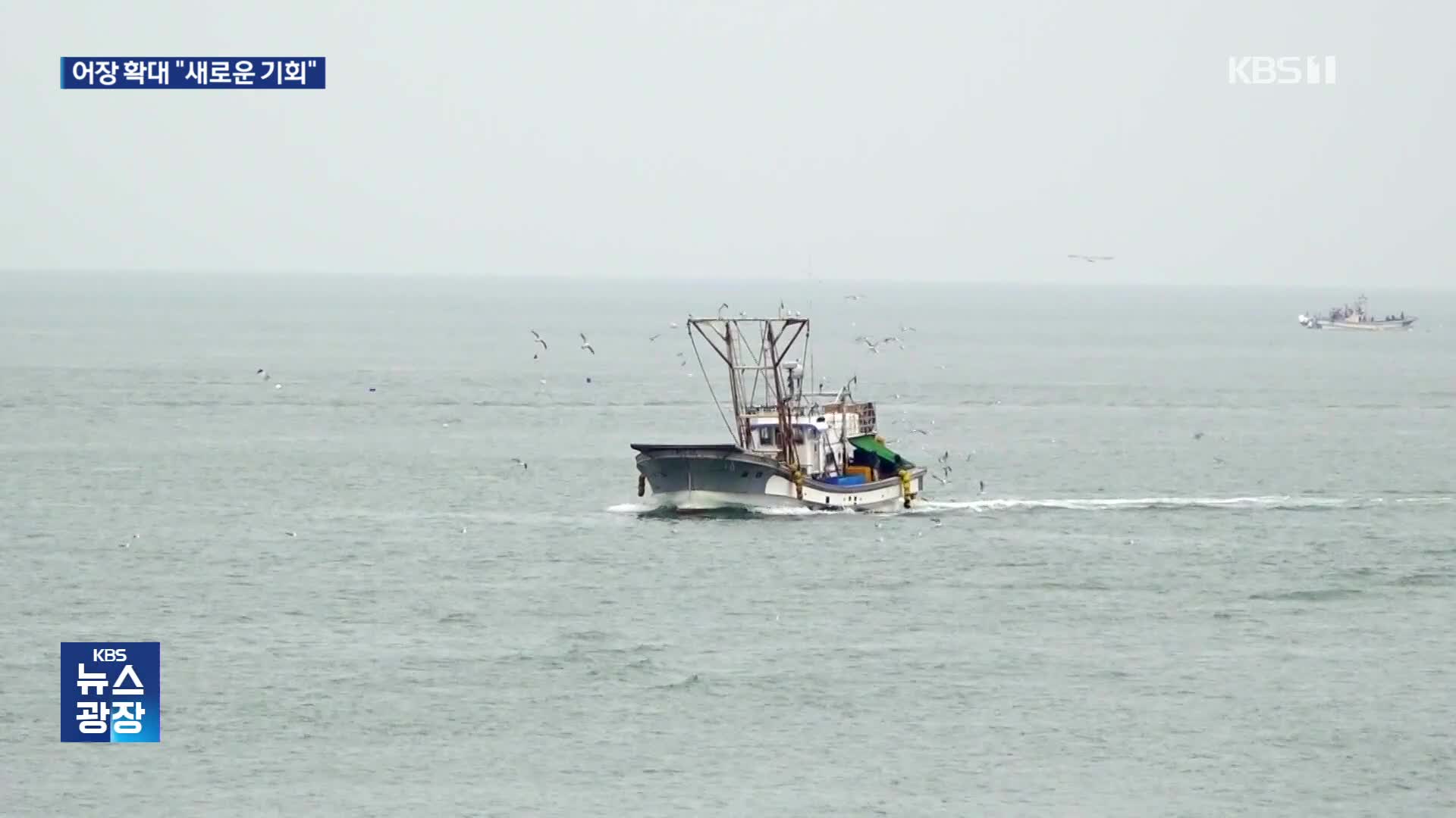 서해5도 어장 ‘서울 28%’ 면적 어장 확대…“어획량도 83% 늘어”