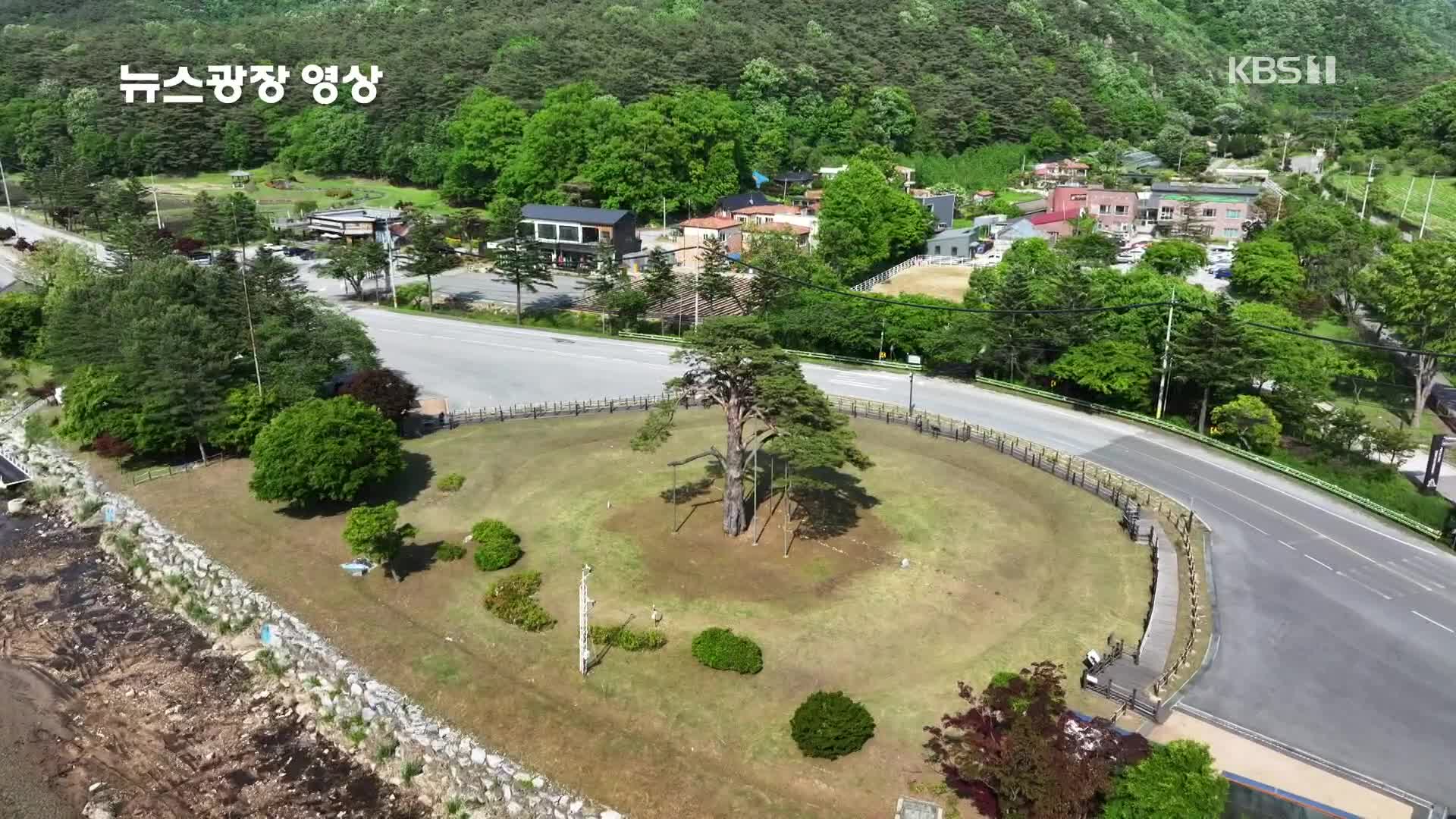 [뉴스광장 영상] 정이품송