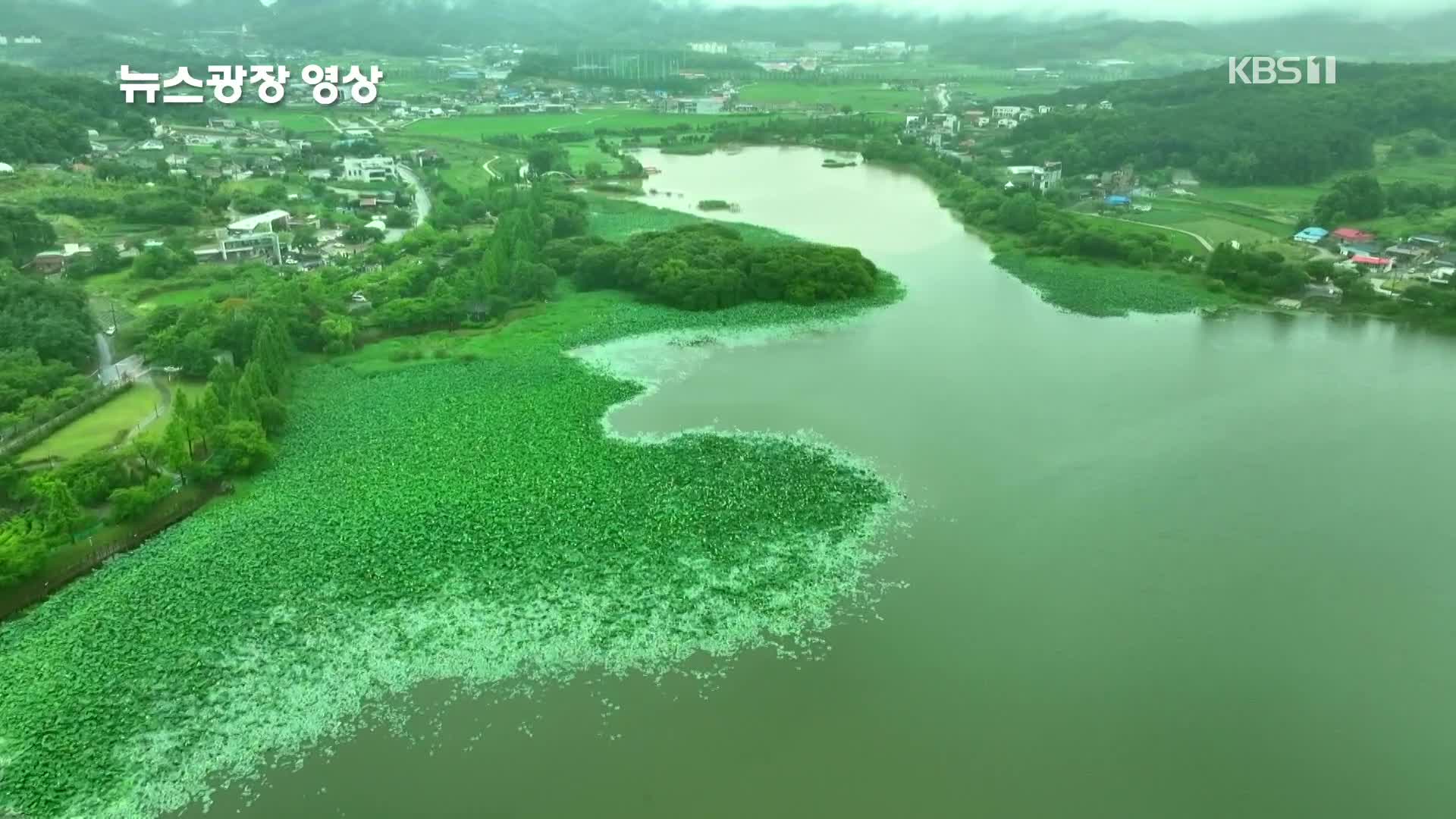 [뉴스광장 영상] 신정호