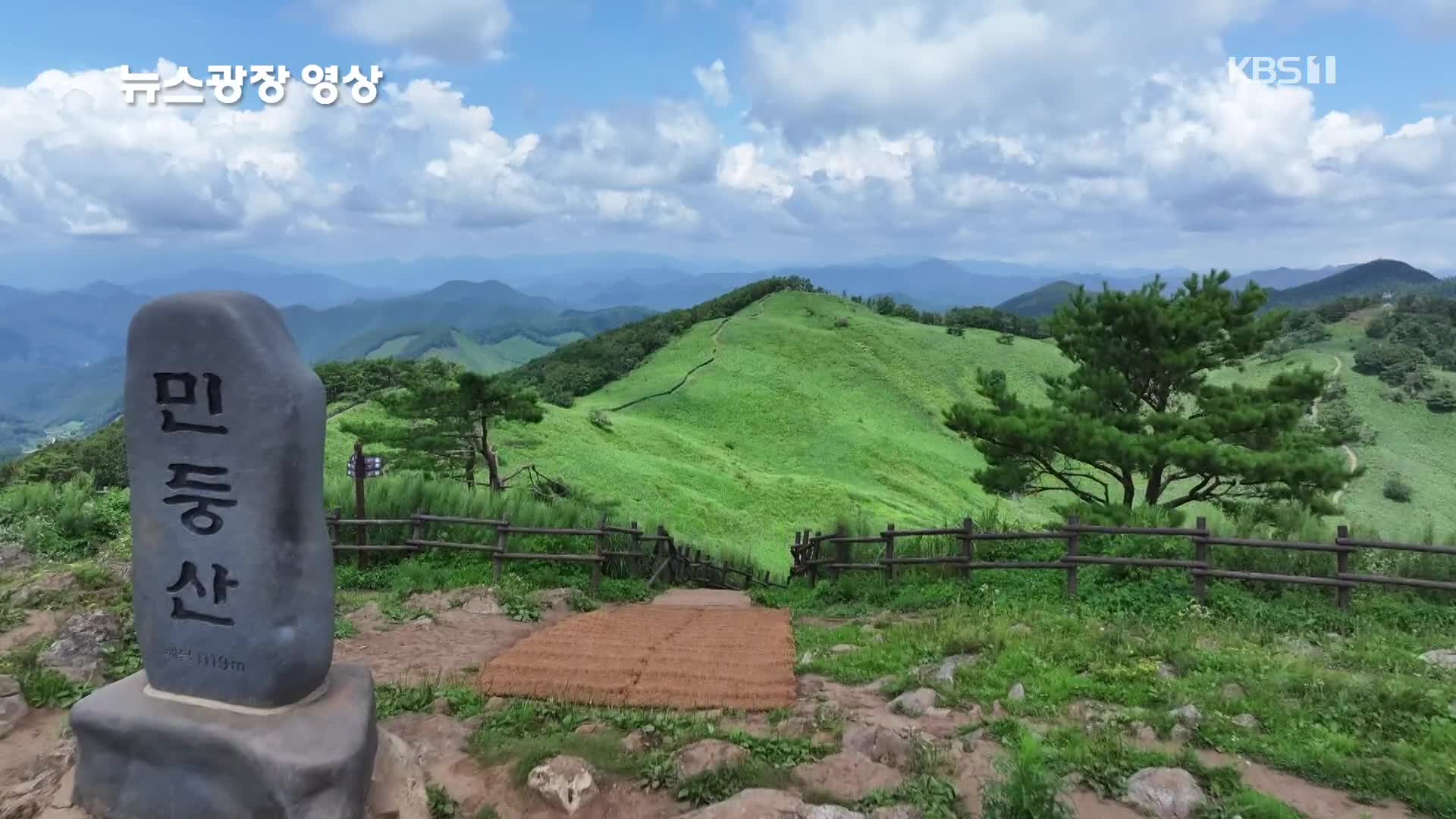 [뉴스광장 영상] 짙은 초록의 민둥산