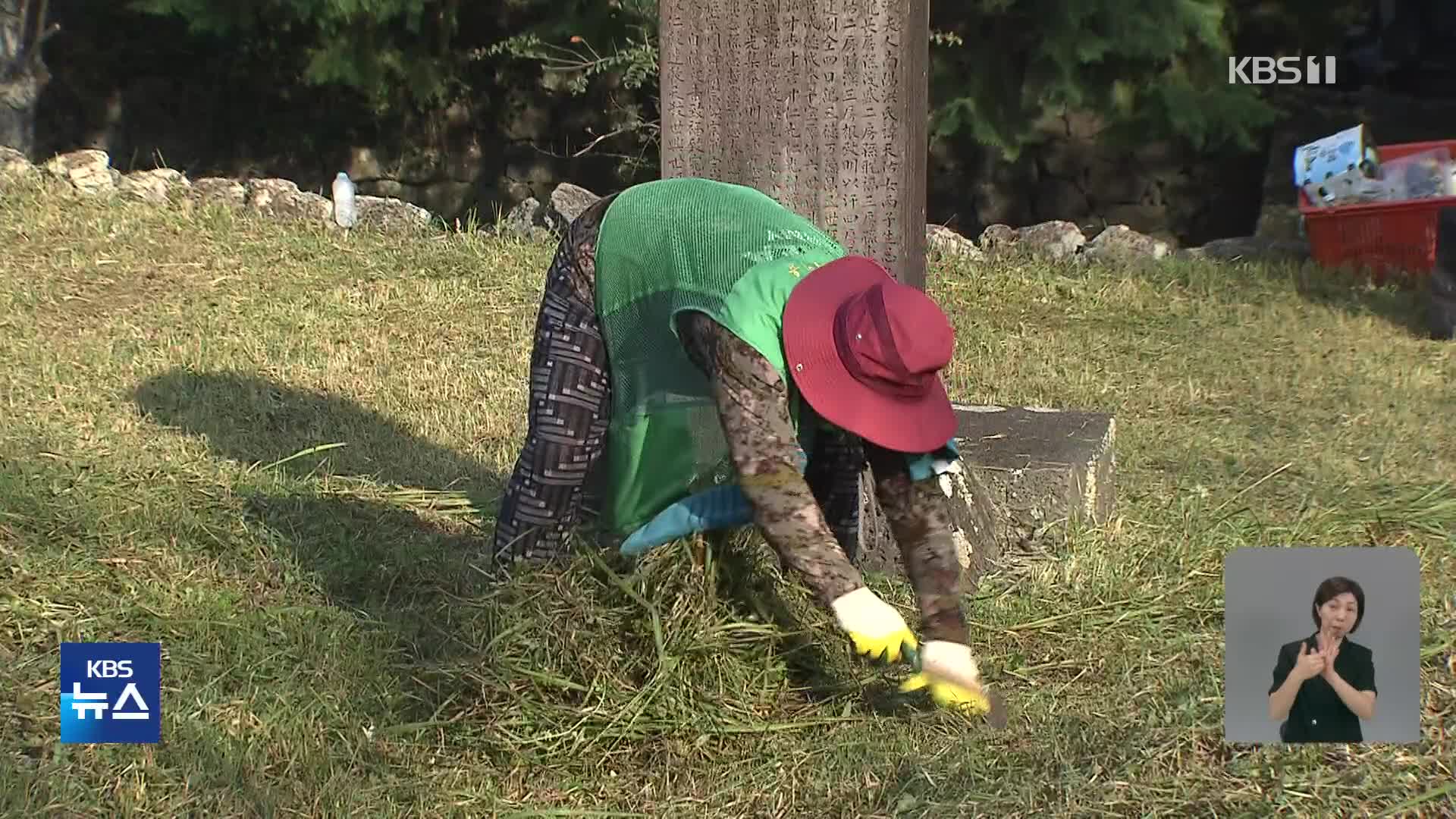 추석 앞두고 벌초 행렬…“안전 사고 주의”