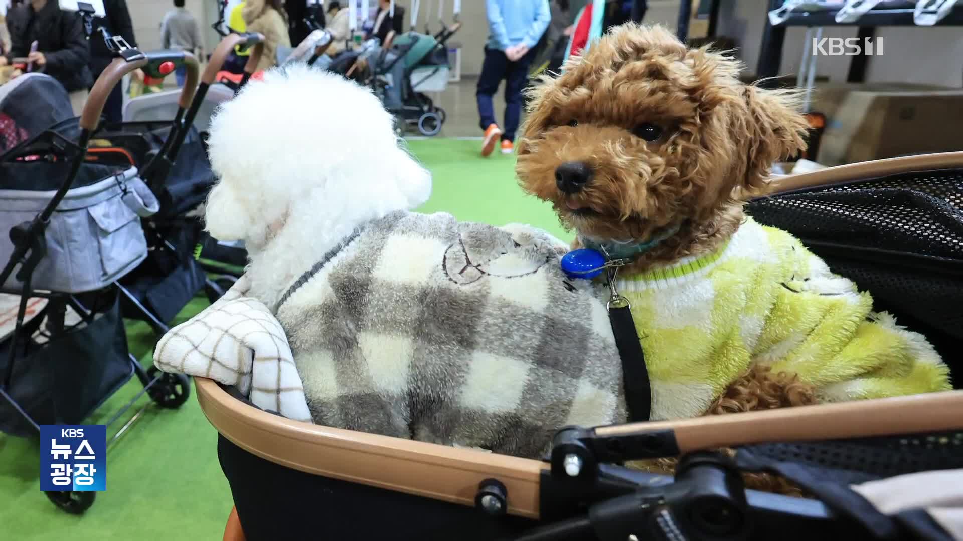 “개모차 미는 한국인…출산율 꼴찌인데 왜?”