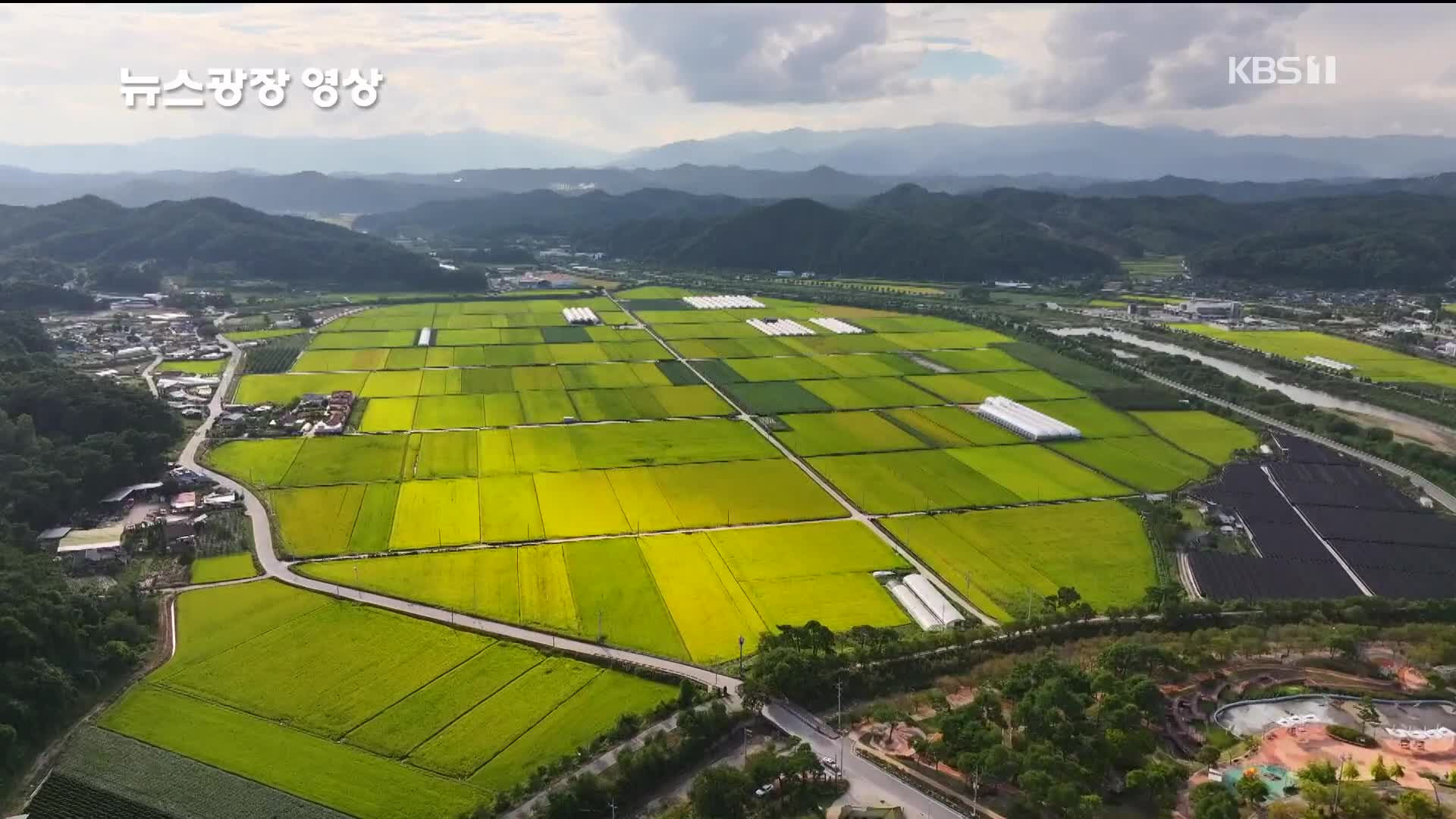 [뉴스광장 영상] 수확을 앞둔 가을 논