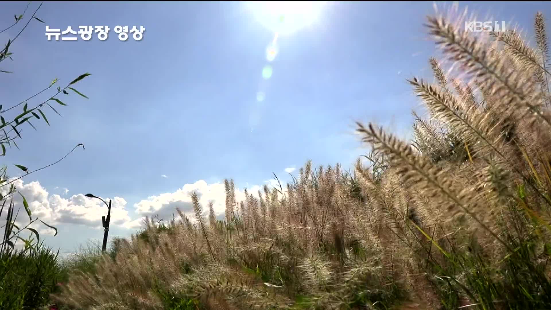 [뉴스광장 영상] 볕 좋은 가을날