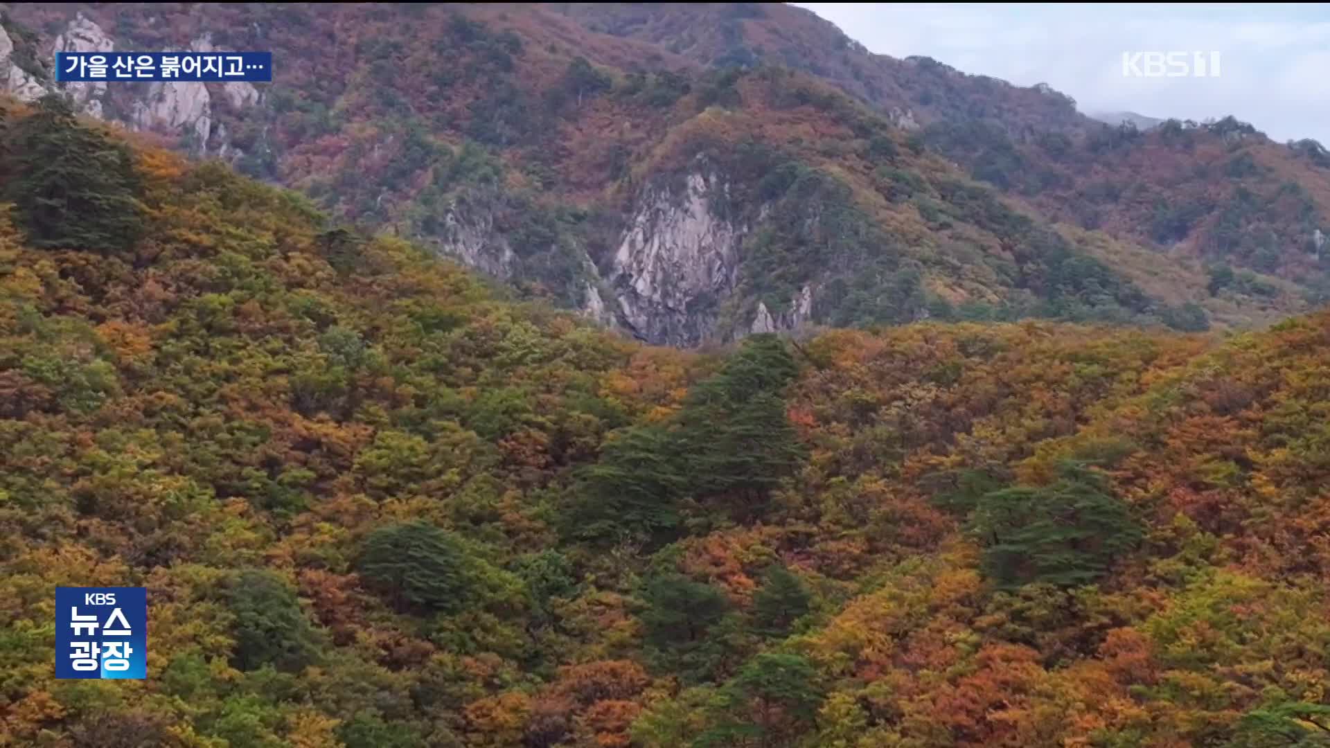 물드는 설악 단풍…이번 주말 절정 맞을 듯