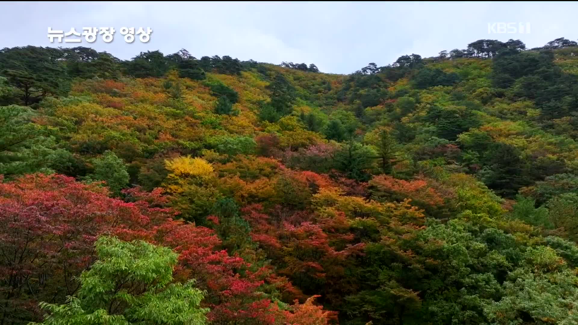 [뉴스광장 영상] 하늘에서 본 설악산 단풍