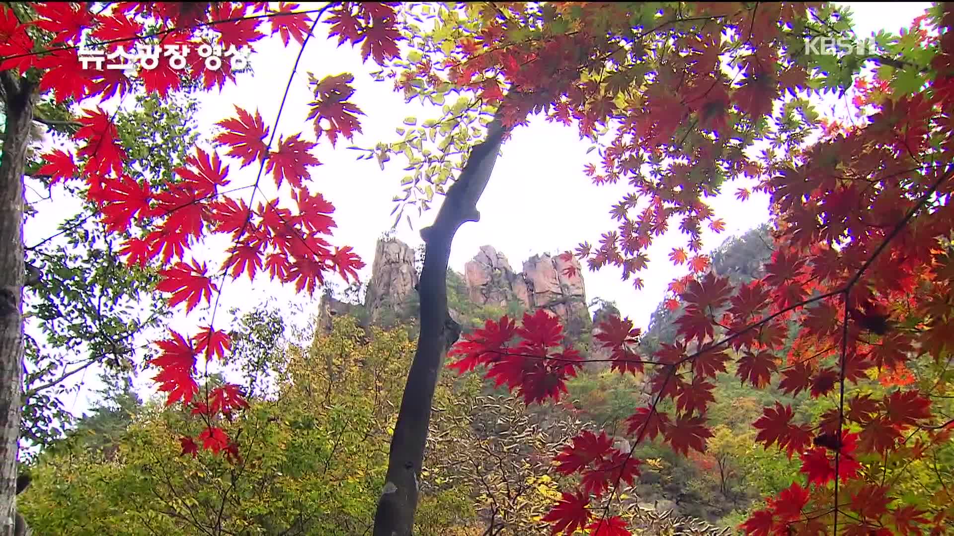 [뉴스광장 영상] 오색 빛깔 설악산 단풍