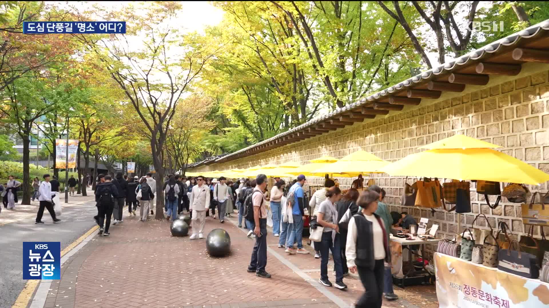 오래 기다린 가을 단풍…서울 단풍길 어디가 명소?