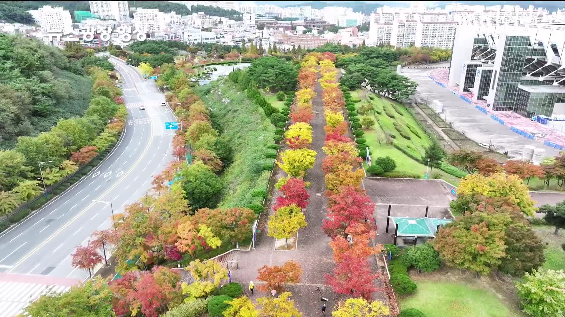 [뉴스광장 영상] 단풍길을 걸어요