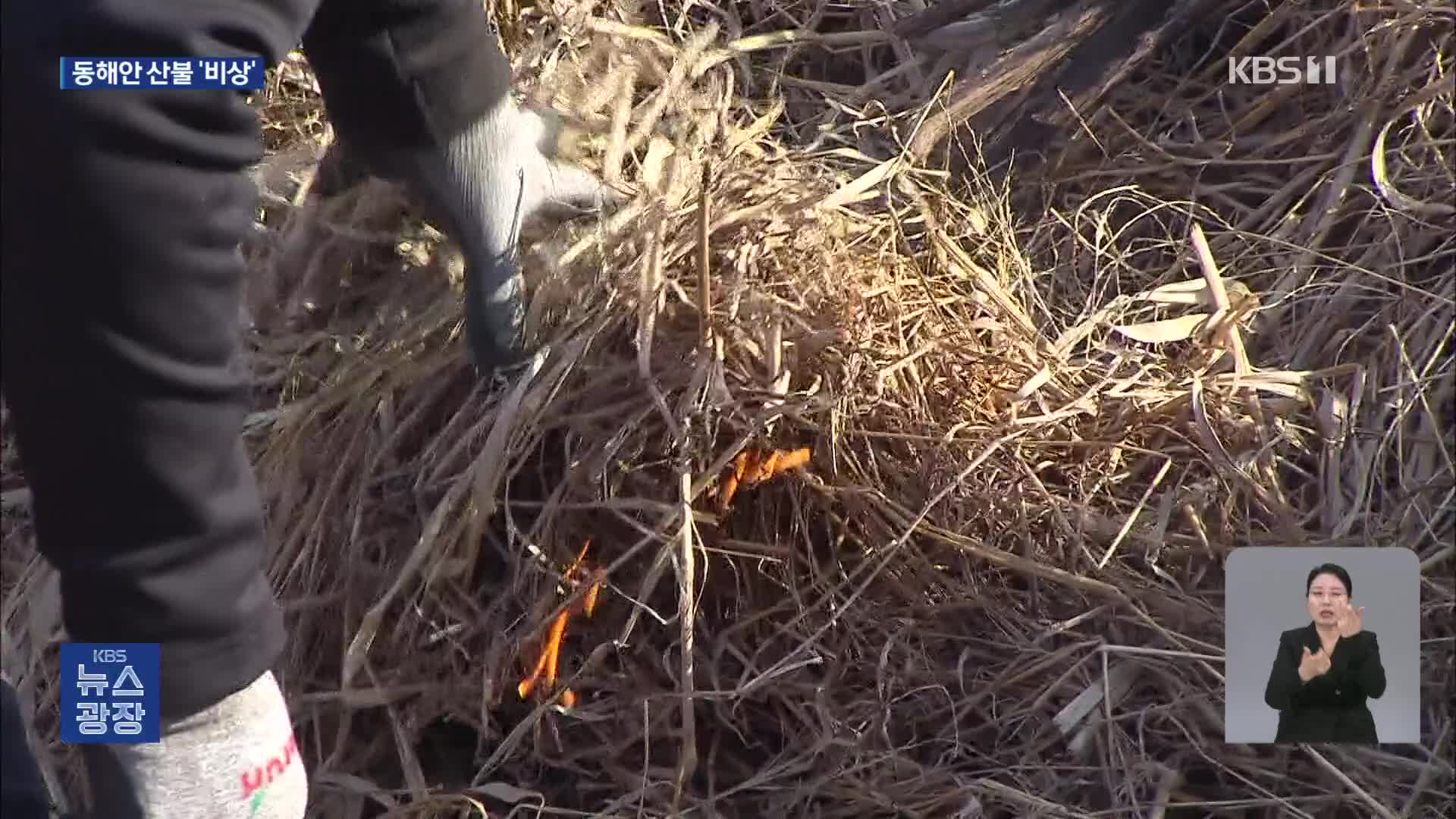 주말도 찬 바람 ‘쌩’…산불 위험 급증