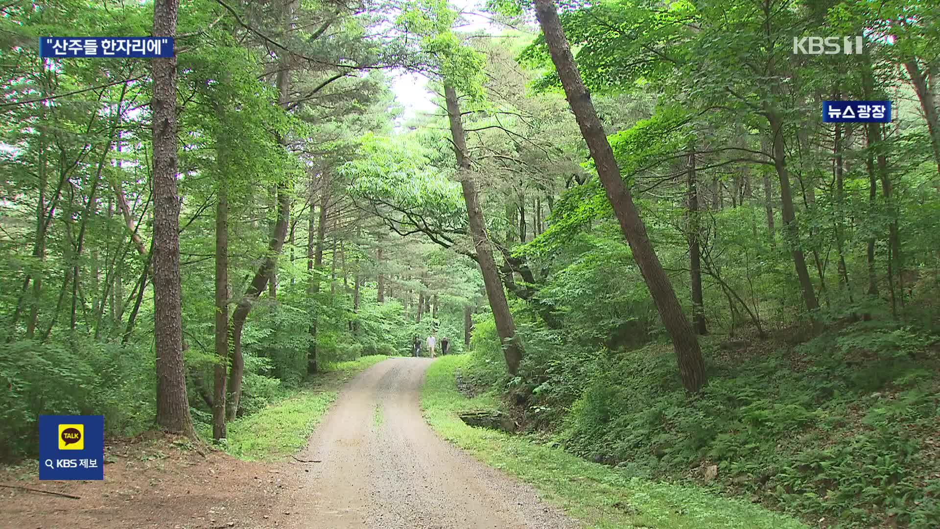 “나무심기서 활용으로” 강산도 바뀌고 산주도 세대교체