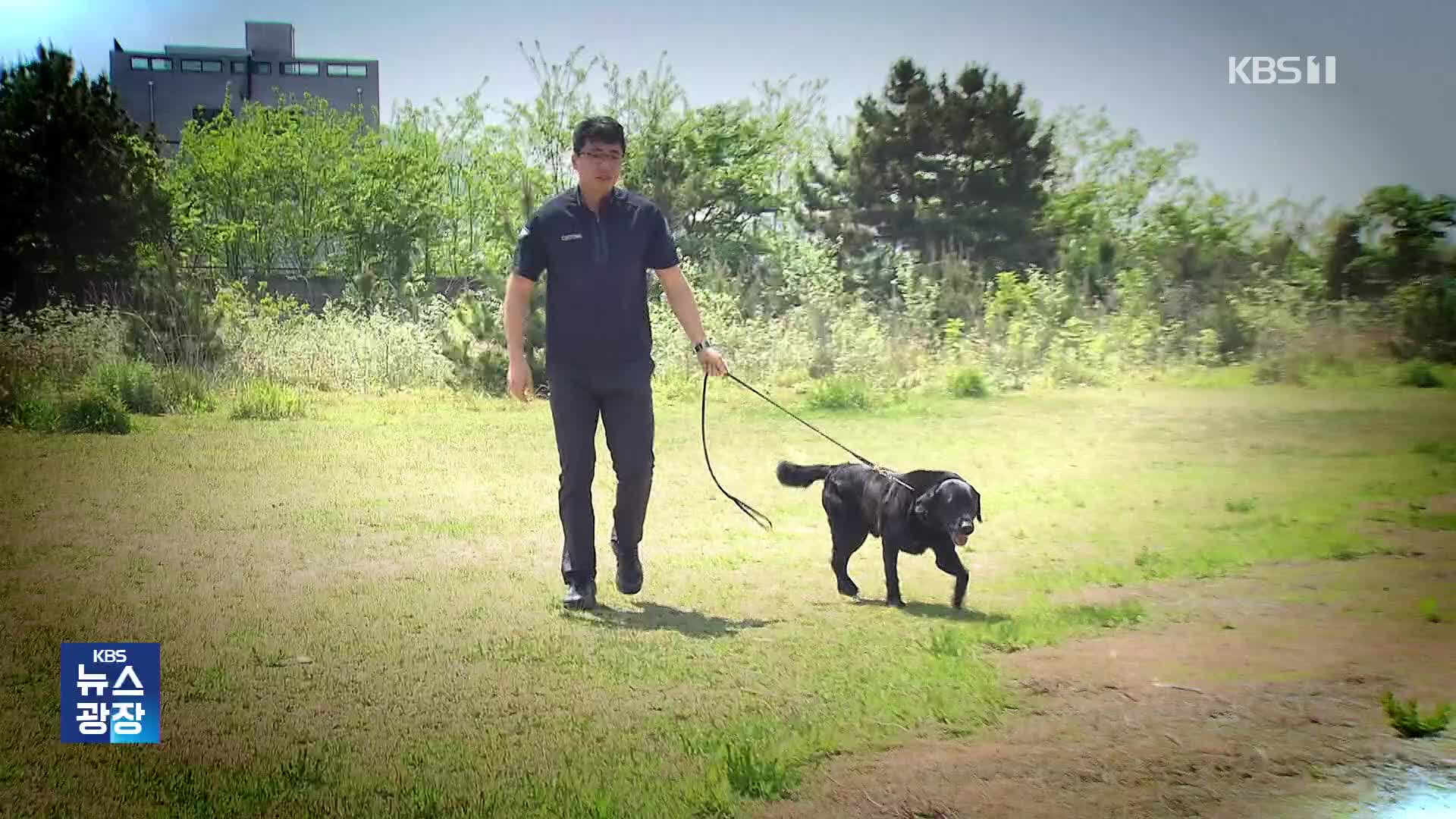 “이제 간식 실컷 먹으렴” 은퇴하는 마약 탐지견들