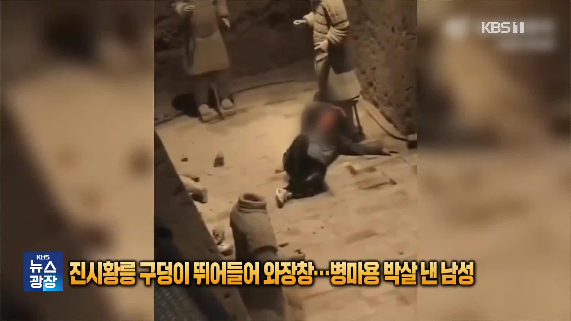 진시황릉 구덩이 뛰어들어 와장창…병마용 박살 낸 남성