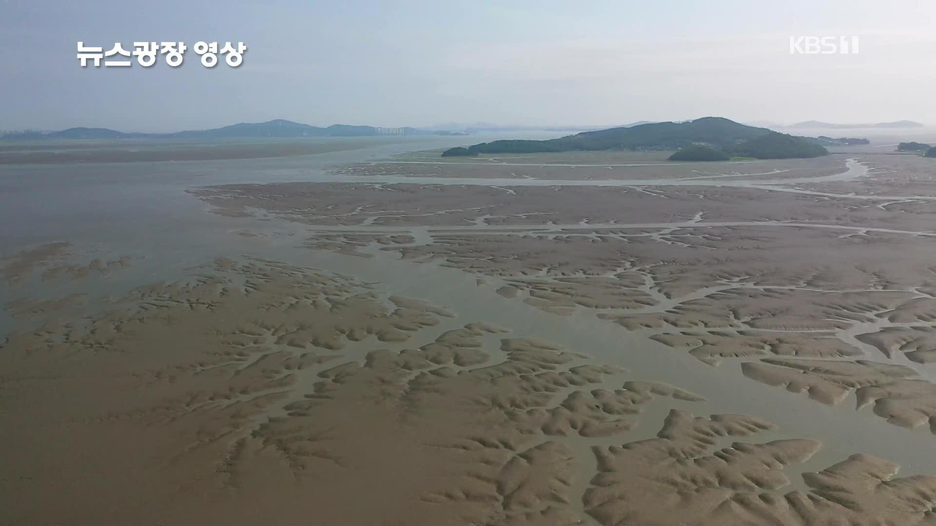 [뉴스광장 영상] 황산도 갯벌