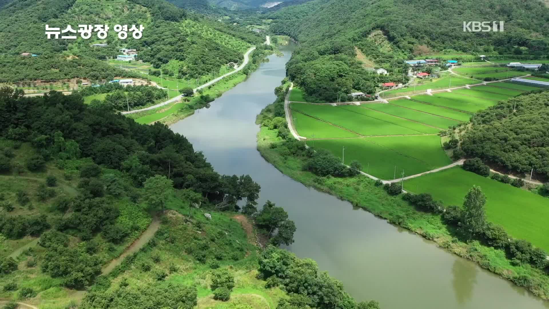 [뉴스광장 영상] 한여름의 금강