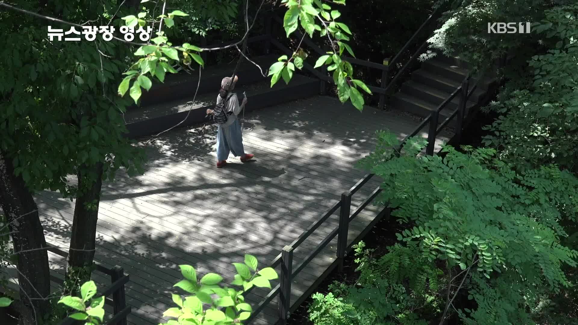 [뉴스광장 영상] 초록빛 인왕산 