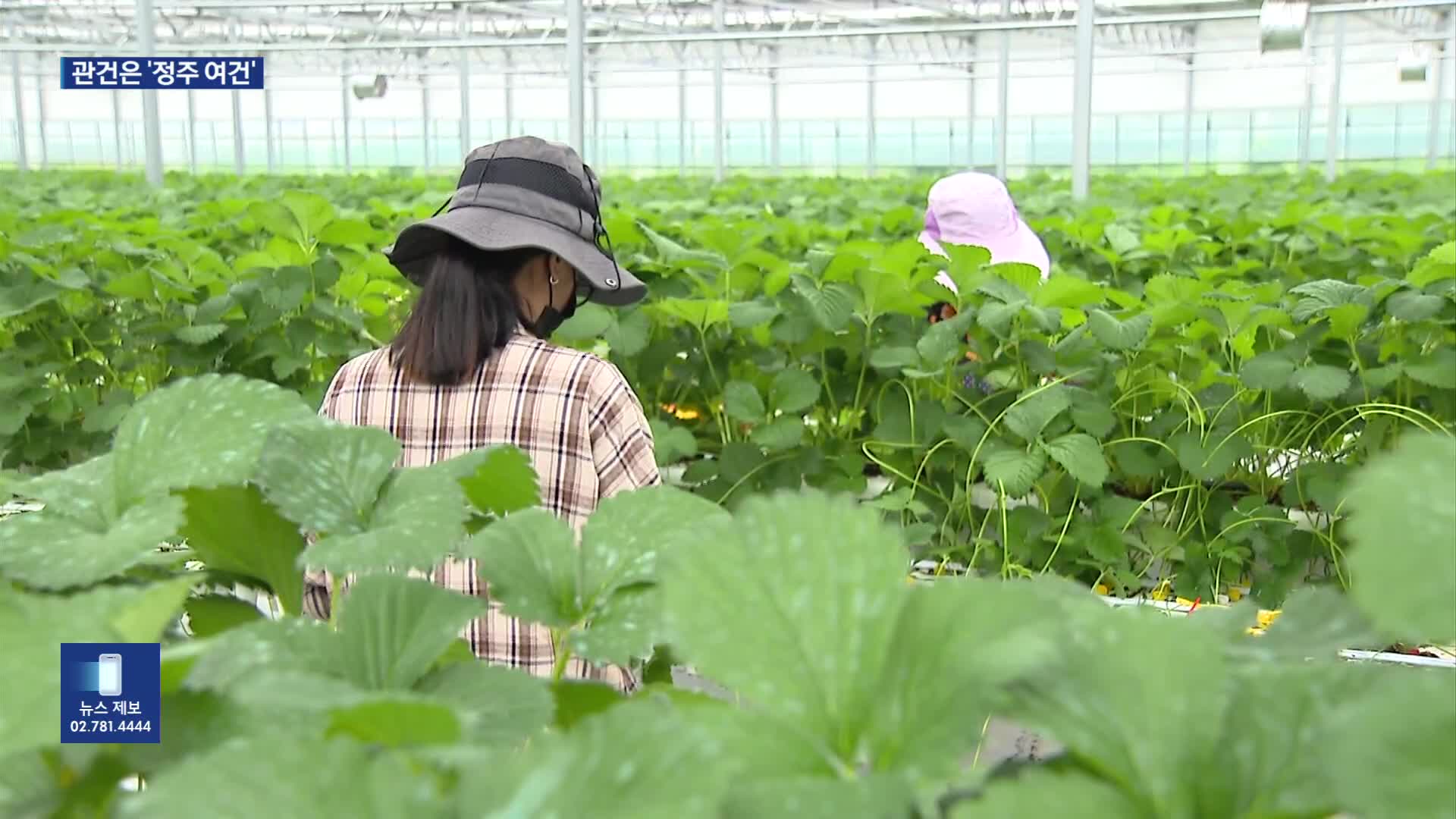 ‘억대 소득’ 청년 농부 시대…관건은 ‘정주 여건’