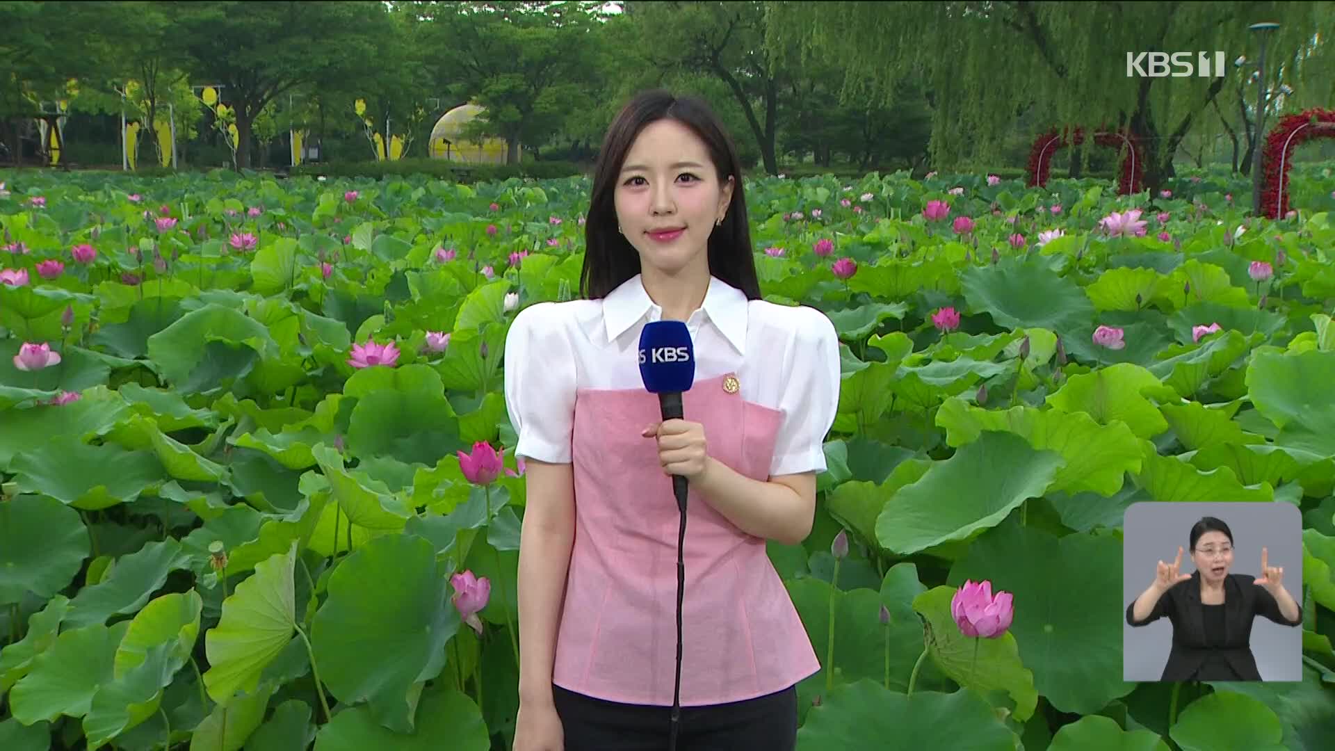 [출근길 날씨] 폭염과 열대야 이어져…수도권·강원 비