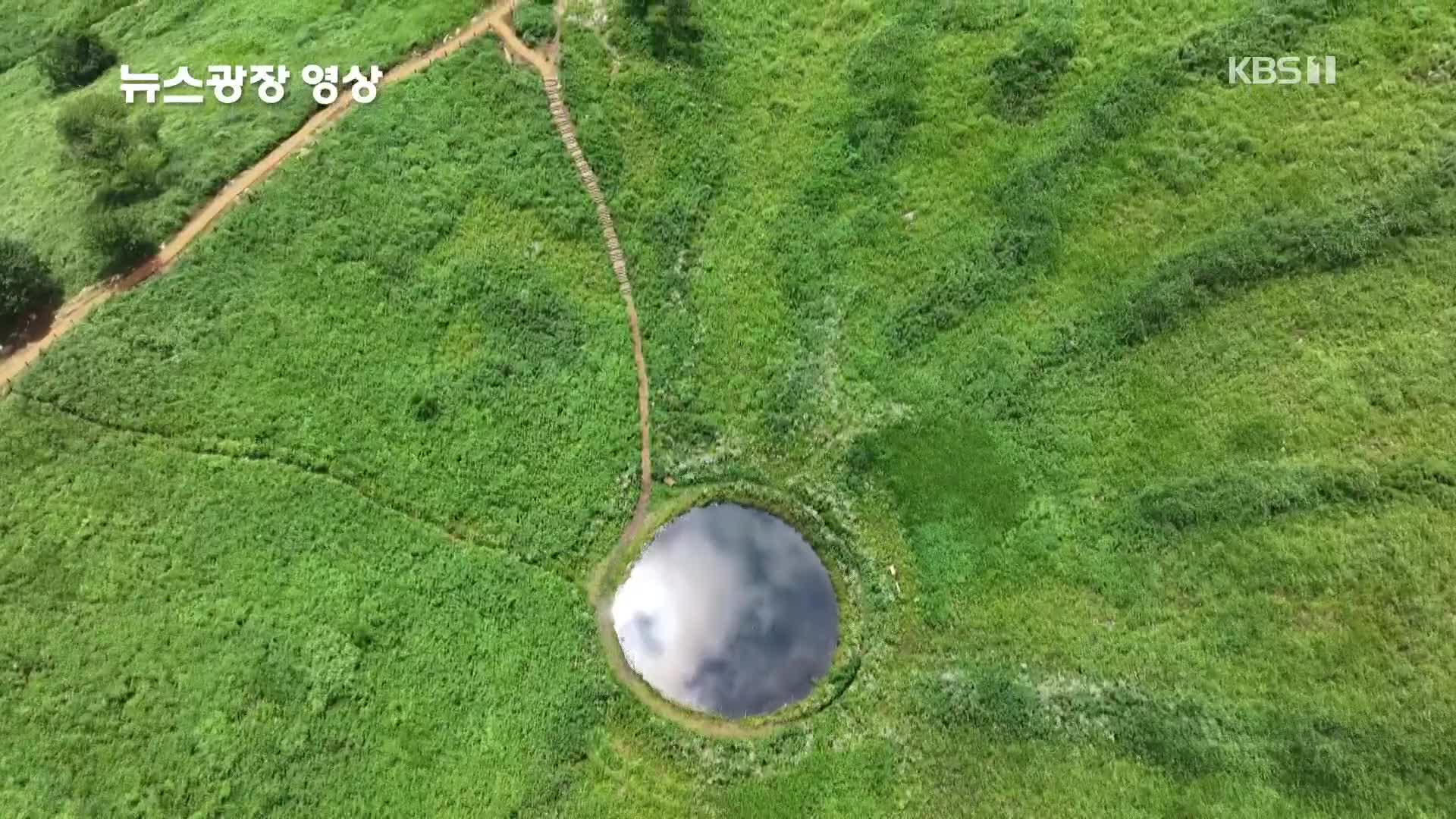 [뉴스광장 영상] 민둥산의 여름