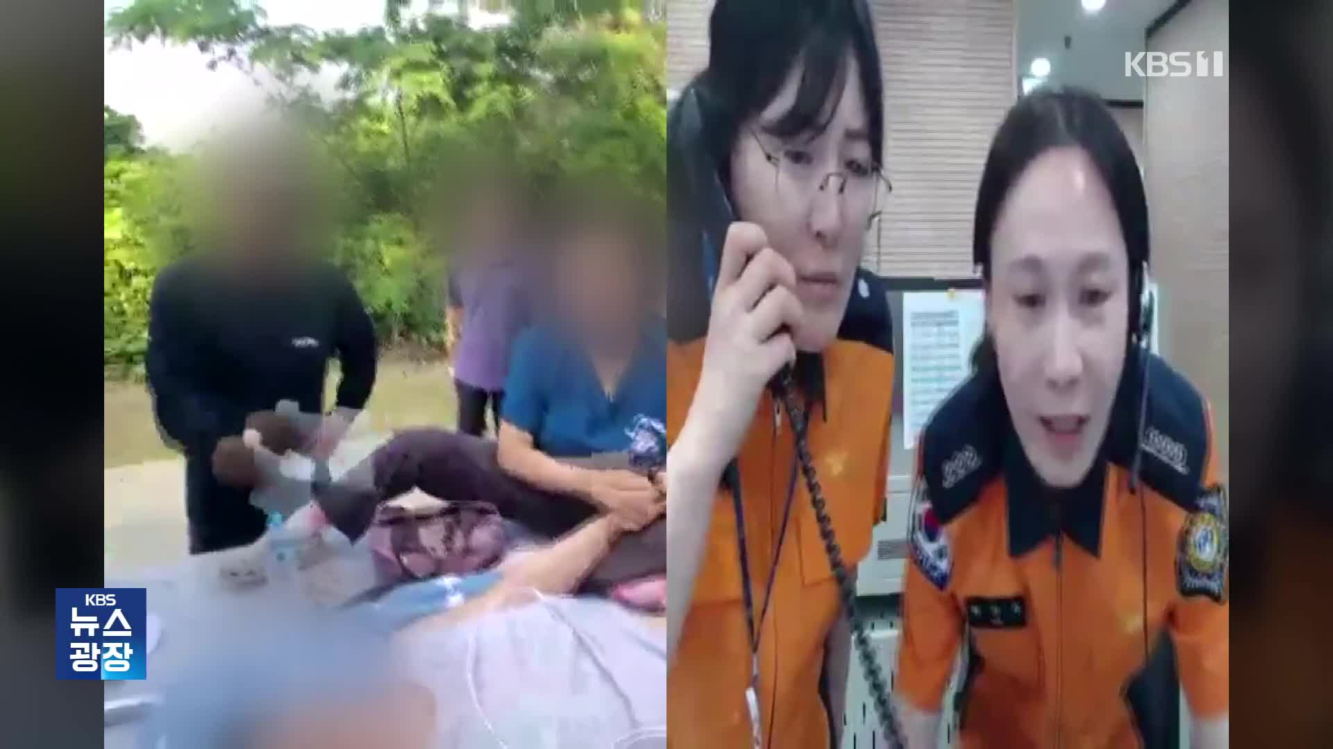 섬마을 쓰러진 남성…119 영상통화로 살렸다