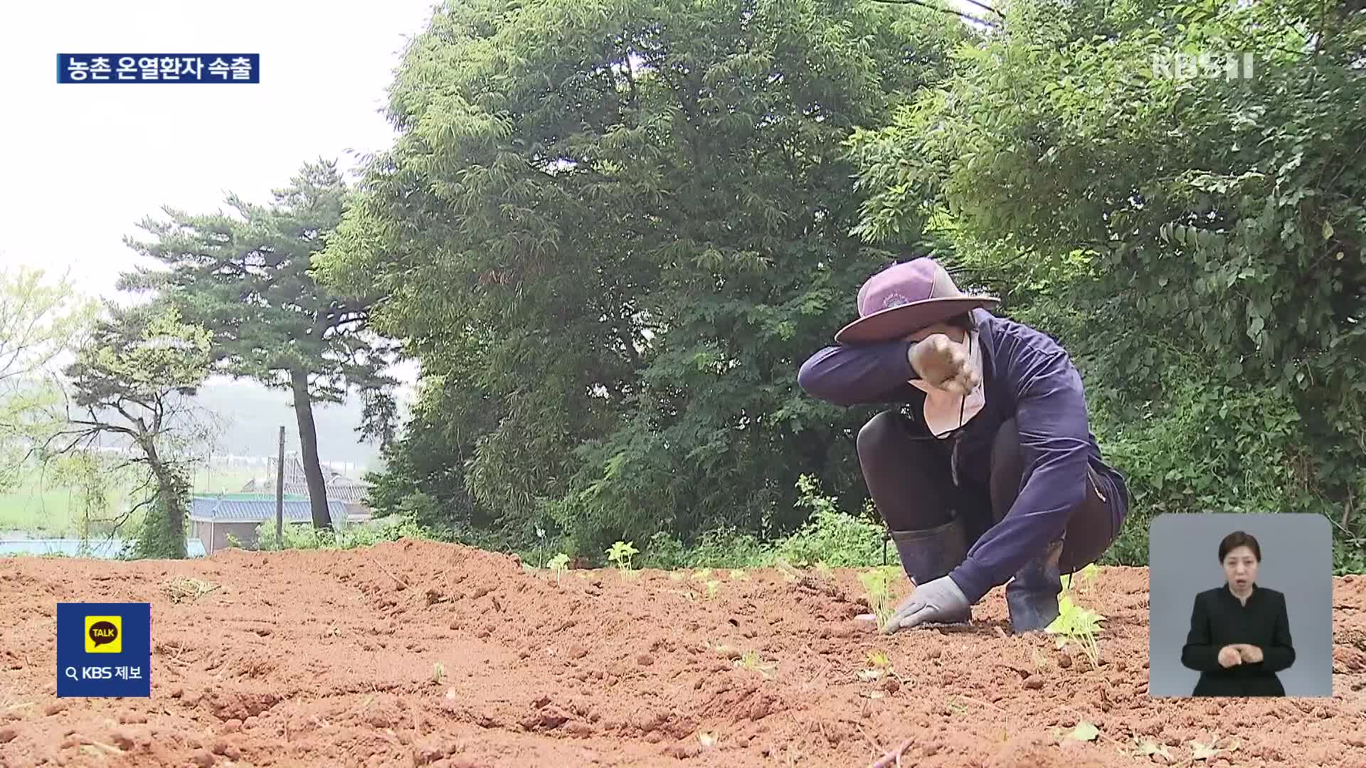 “폭염에도 못 쉬어요”…농촌 온열질환자 속출