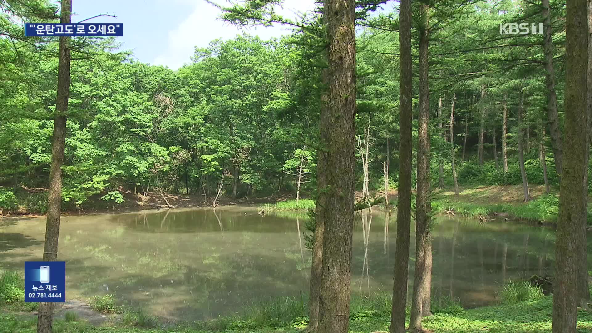 무더위 식히는 ‘운탄고도’…폐광지에서 관광 명소로!