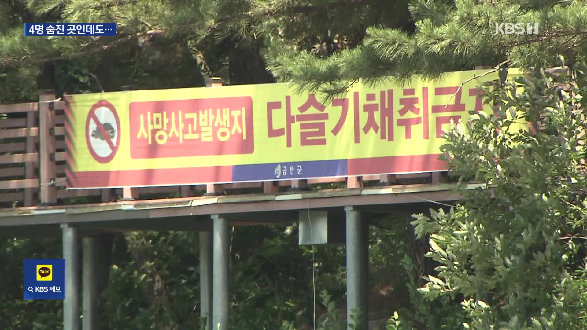 4명 숨졌는데 또 다슬기 잡이 ‘안전불감증’
