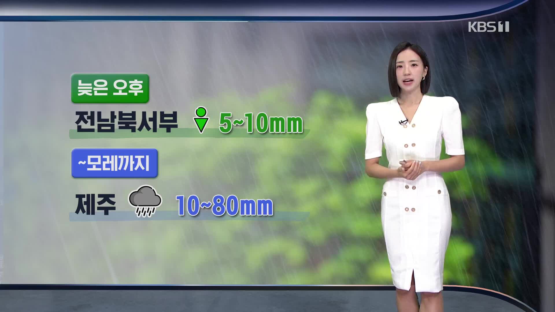 [주말 날씨] 서쪽 지역 35도 안팎 폭염…제주 비