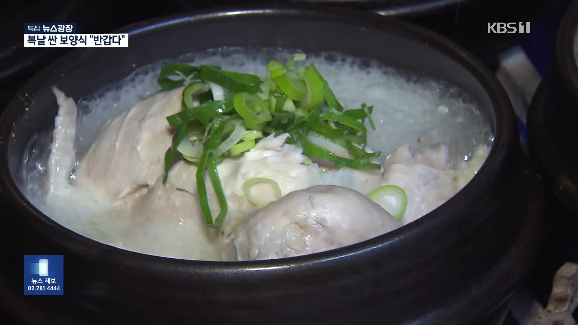 1만 5천 원 삼계탕에 “감사”…복날 준비도 ‘가성비’