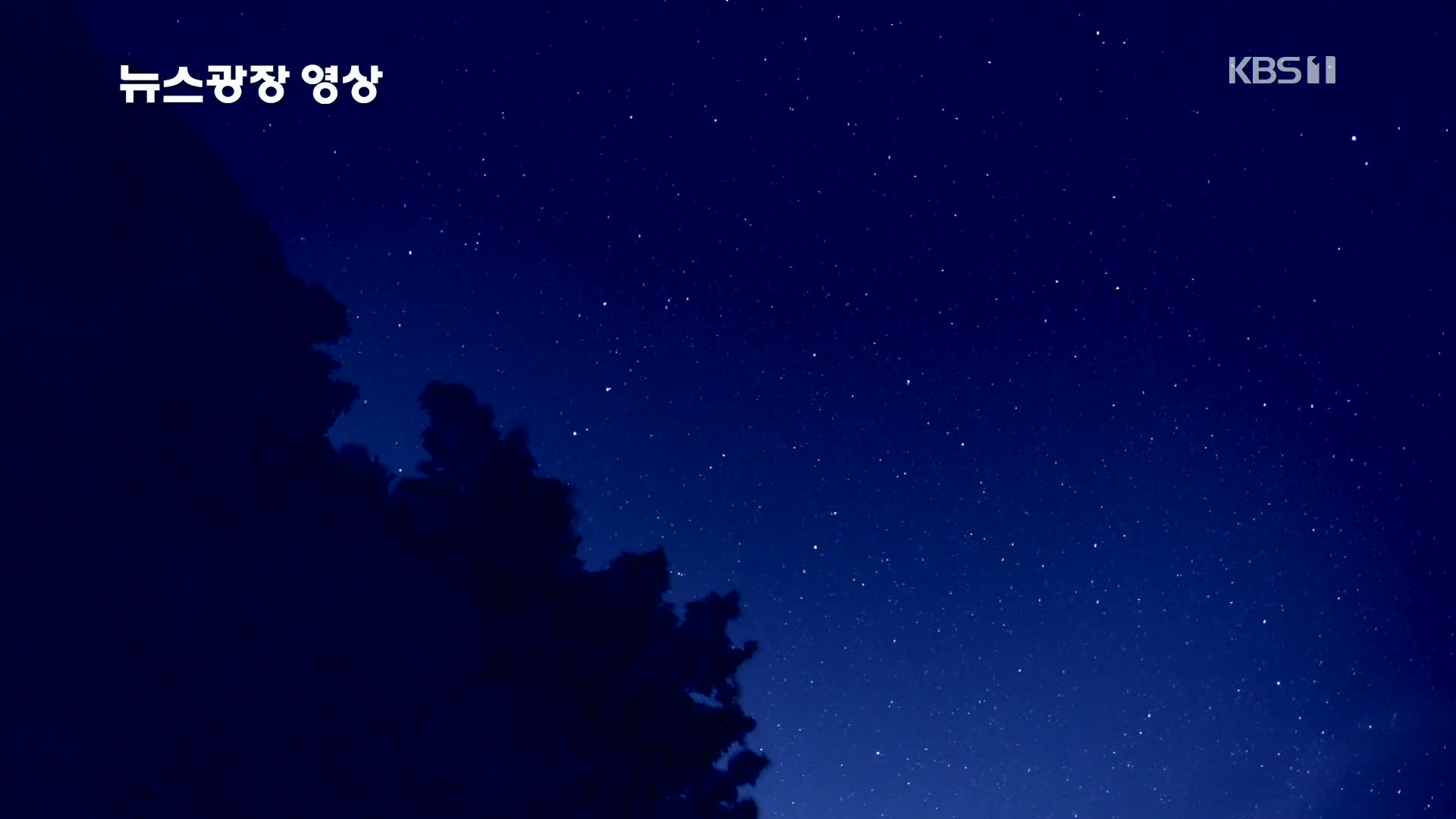 [뉴스광장 영상] 여름 밤하늘의 별바다