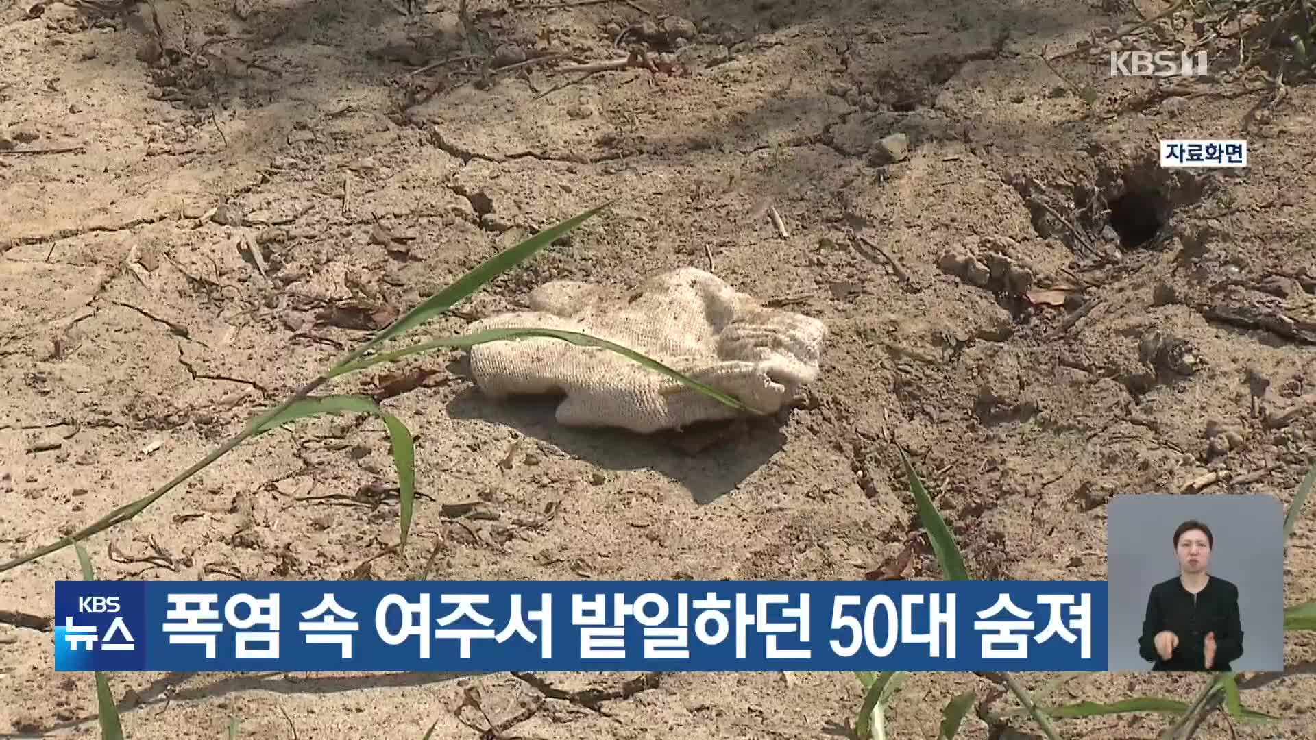 폭염 속 여주서 밭일하던 50대 숨져