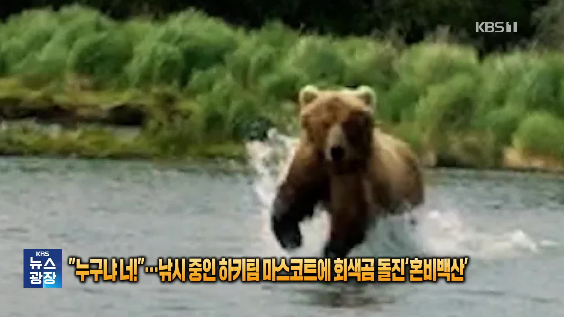 “누구냐 너!”…낚시 중인 하키팀 마스코트에 회색곰 돌진 ‘혼비백산’ [잇슈 SNS]