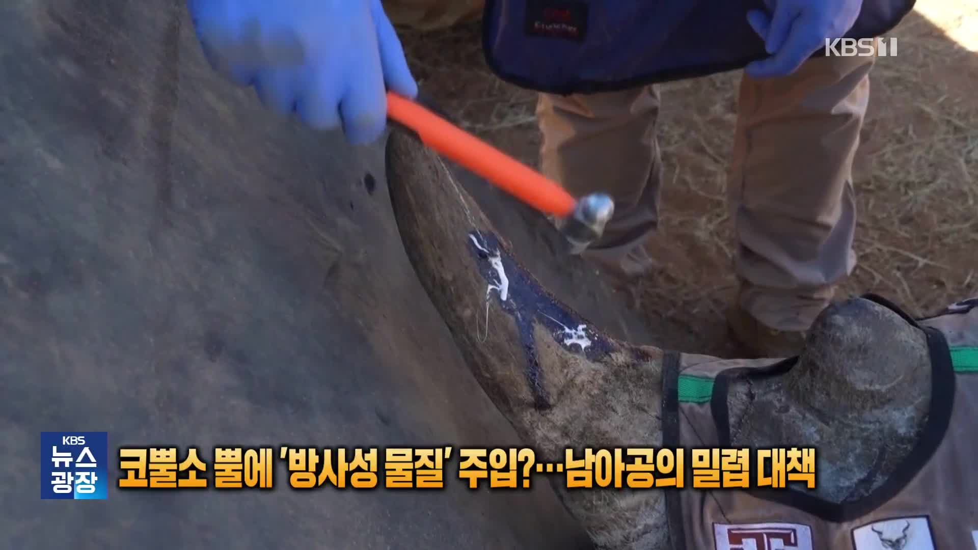 [잇슈 SNS] 코뿔소 뿔에 ‘방사성 물질’ 주입?…남아공의 밀렵 대책