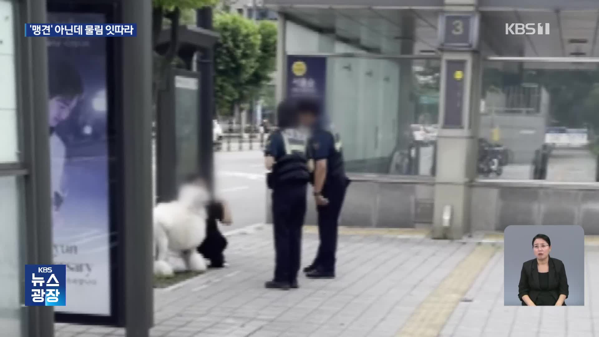 매년 2천명 물리는데 맹견만 입마개?