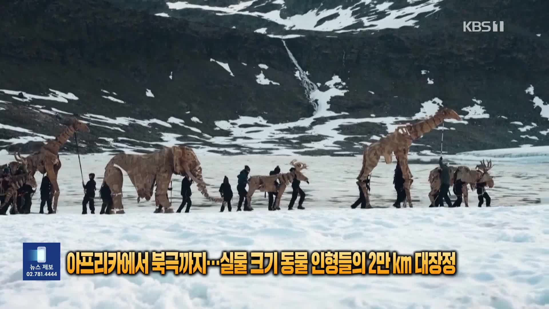[잇슈 SNS] 아프리카에서 북극까지…실물 크기 동물 인형들의 2만㎞ 대장정
