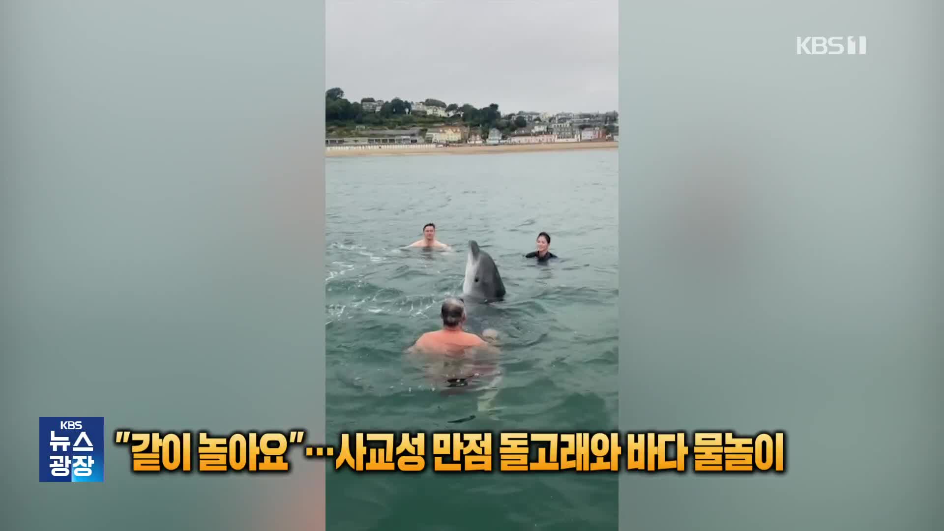 “같이 놀아요”…사교성 만점 돌고래와 바다 물놀이 