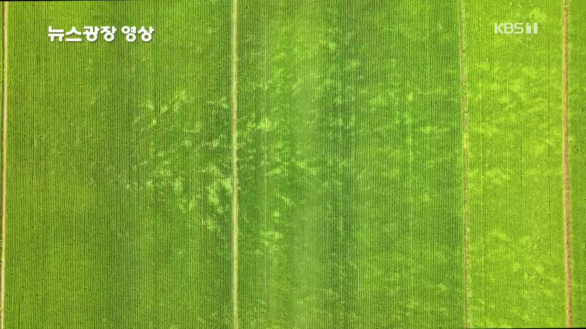 [뉴스광장 영상] 가을을 부르는 춤사위
