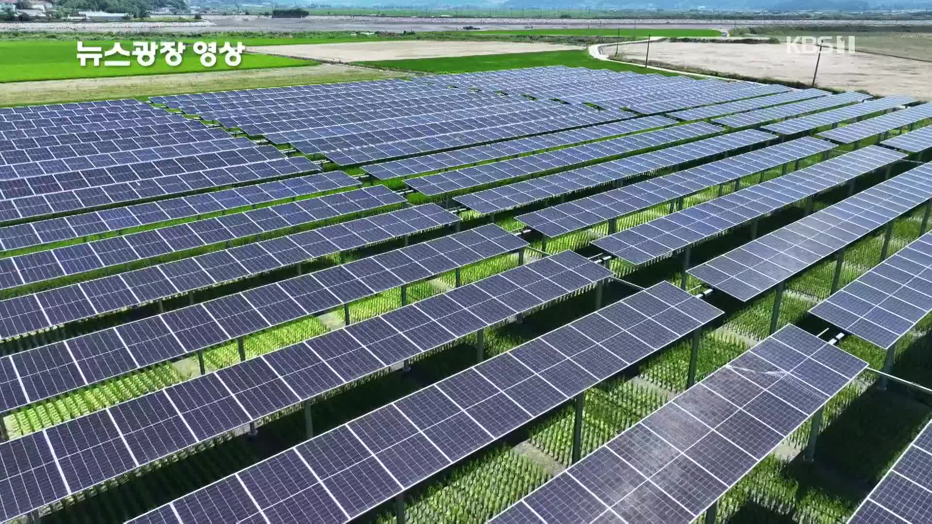 [뉴스광장 영상] 영농형 태양광 단지