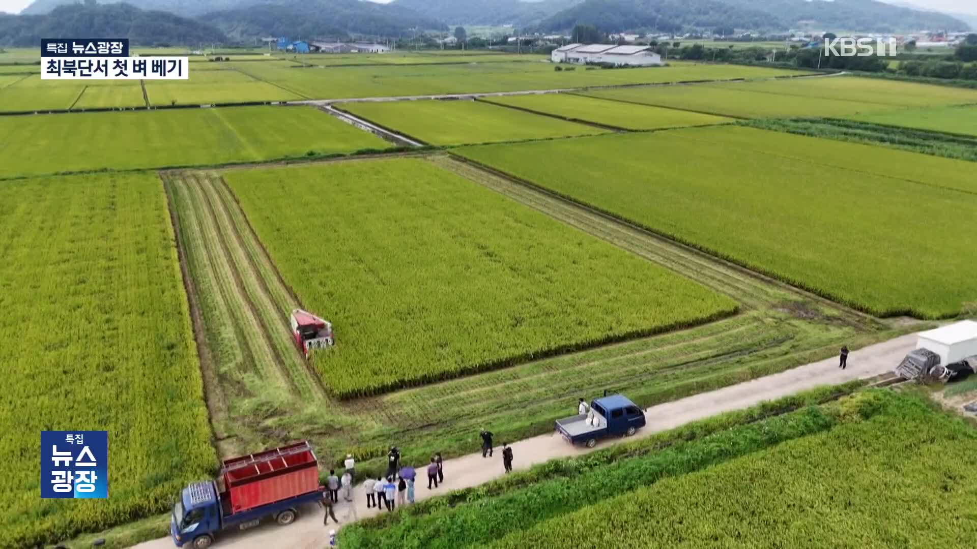 “반갑다 햅쌀”…폭염 뚫고 철원 첫 벼베기