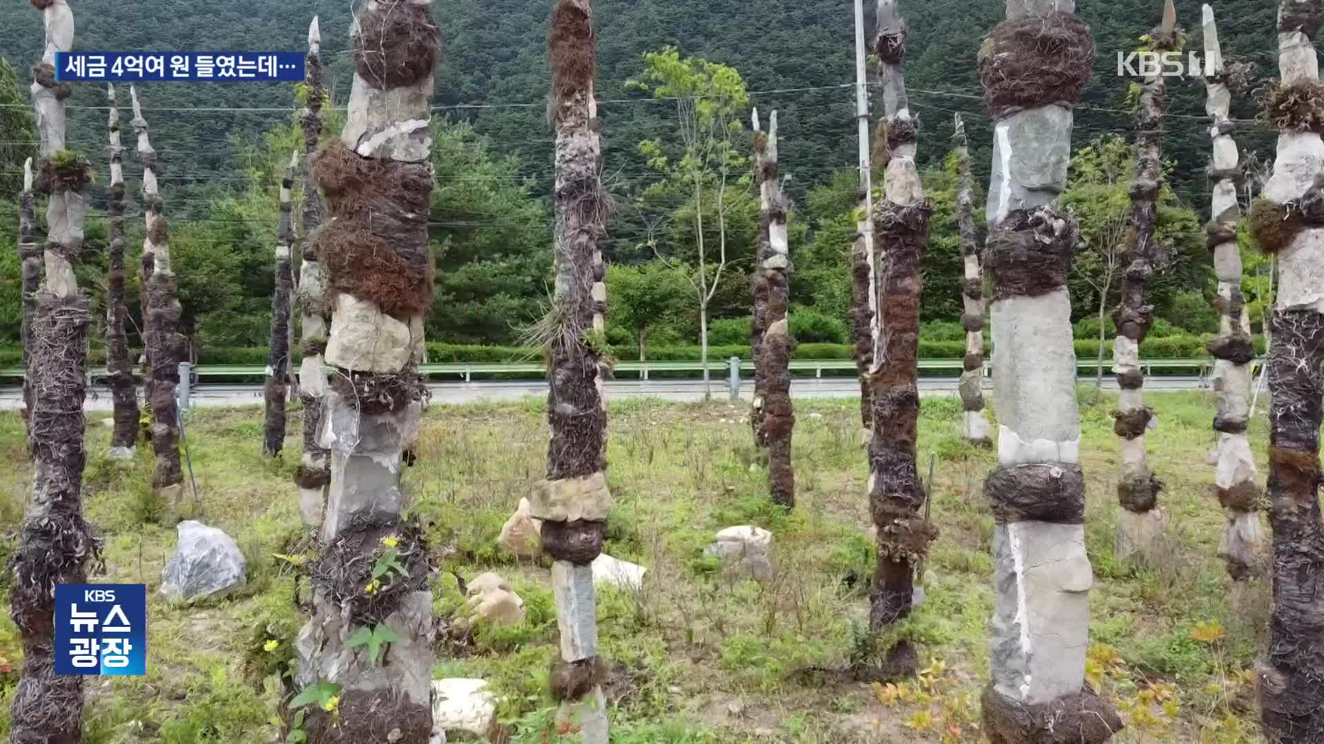 4억여 원 들여 꾸몄더니…한 달 만에 고사한 ‘석부작’