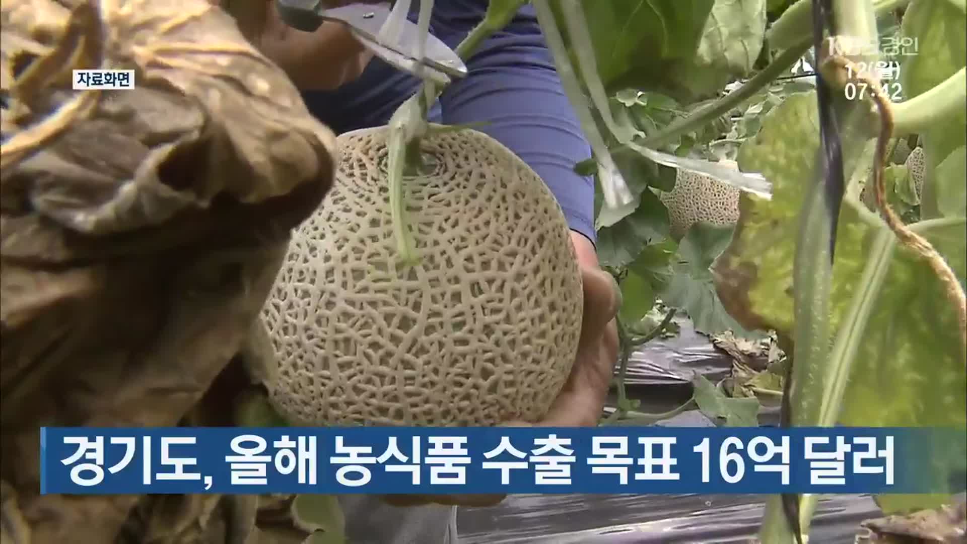 경기도, 올해 농식품 수출 목표 16억 달러