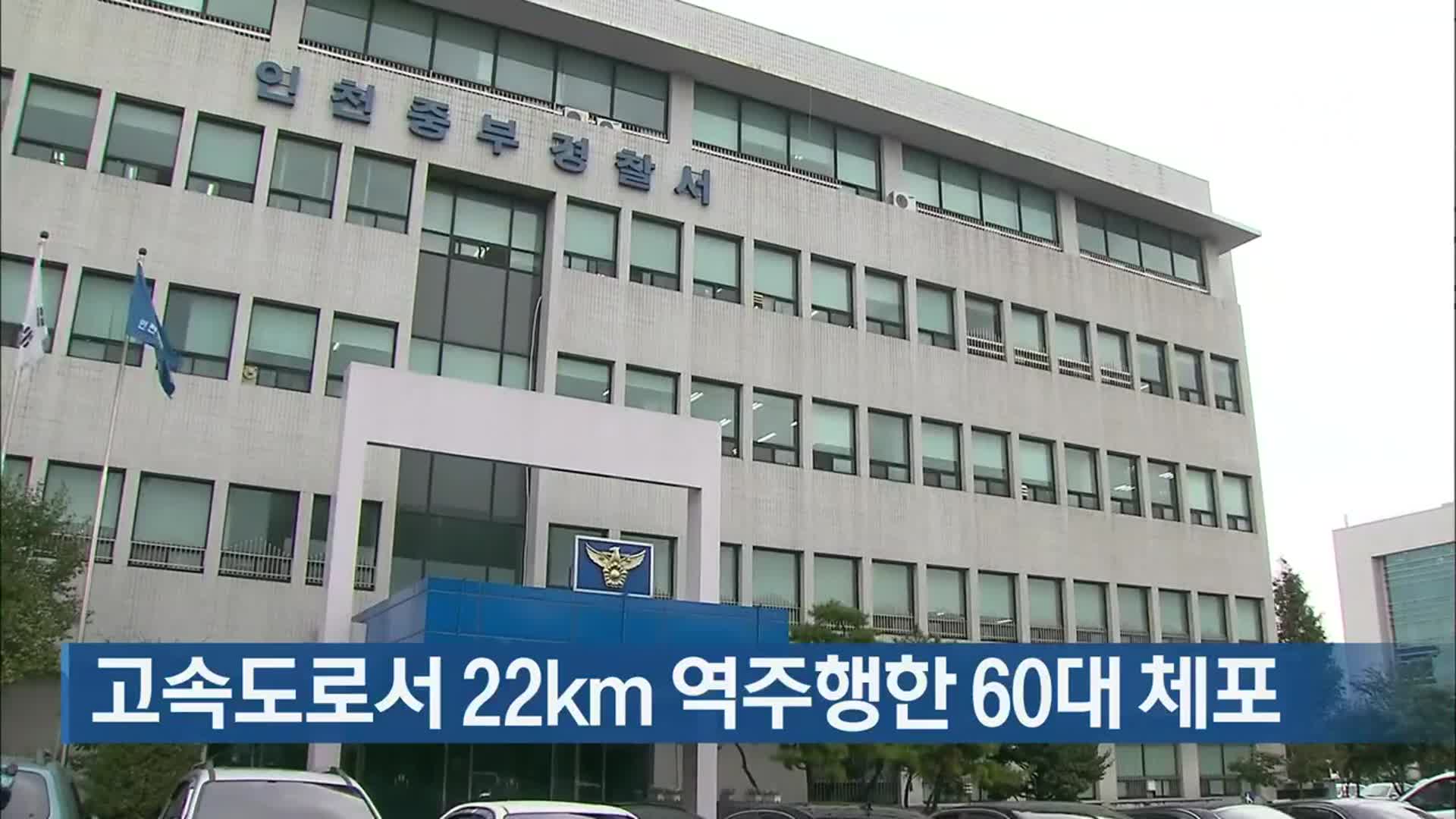 고속도로서 22km 역주행한 60대 체포