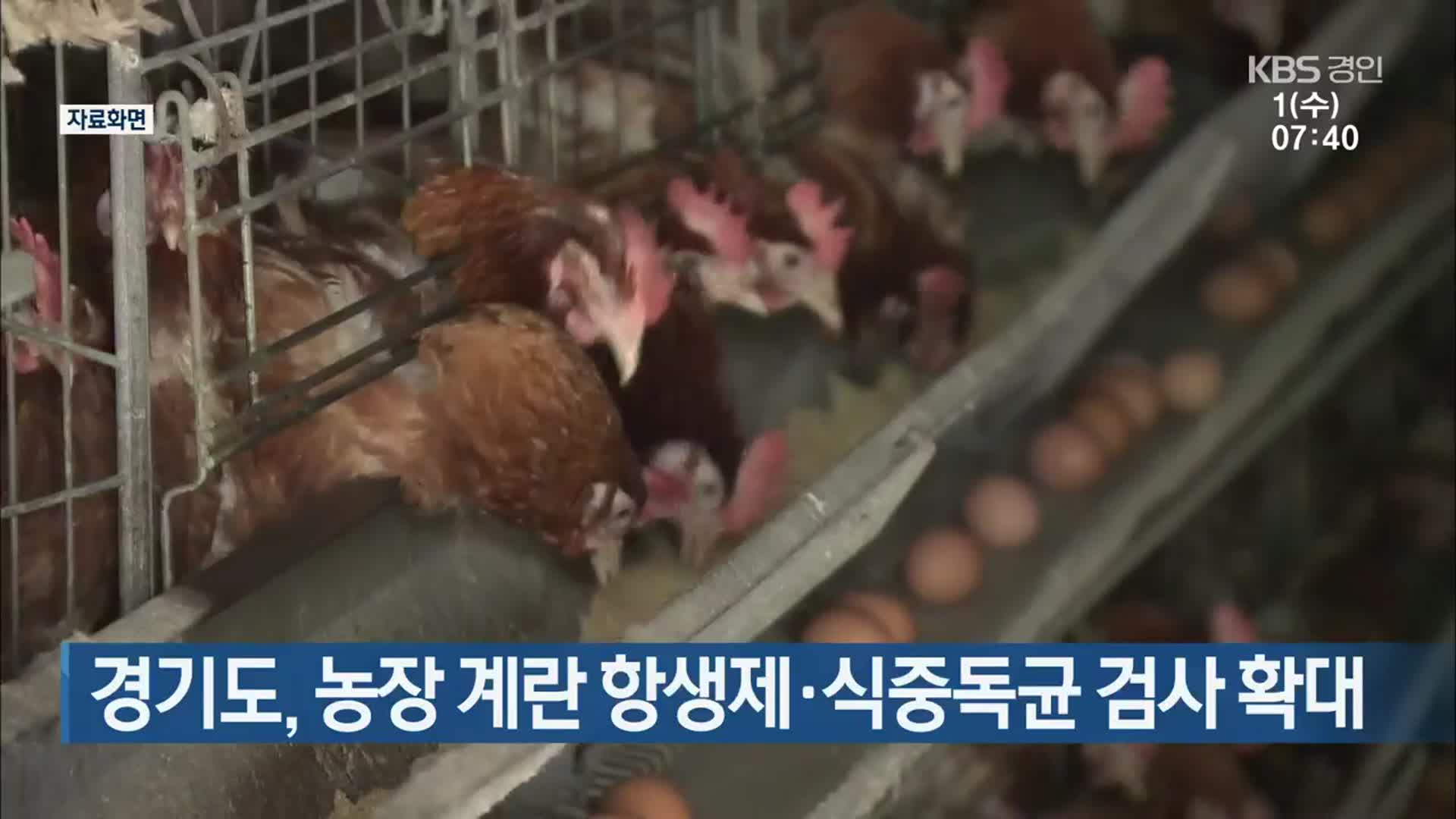 경기도, 농장 계란 항생제·식중독균 검사 확대