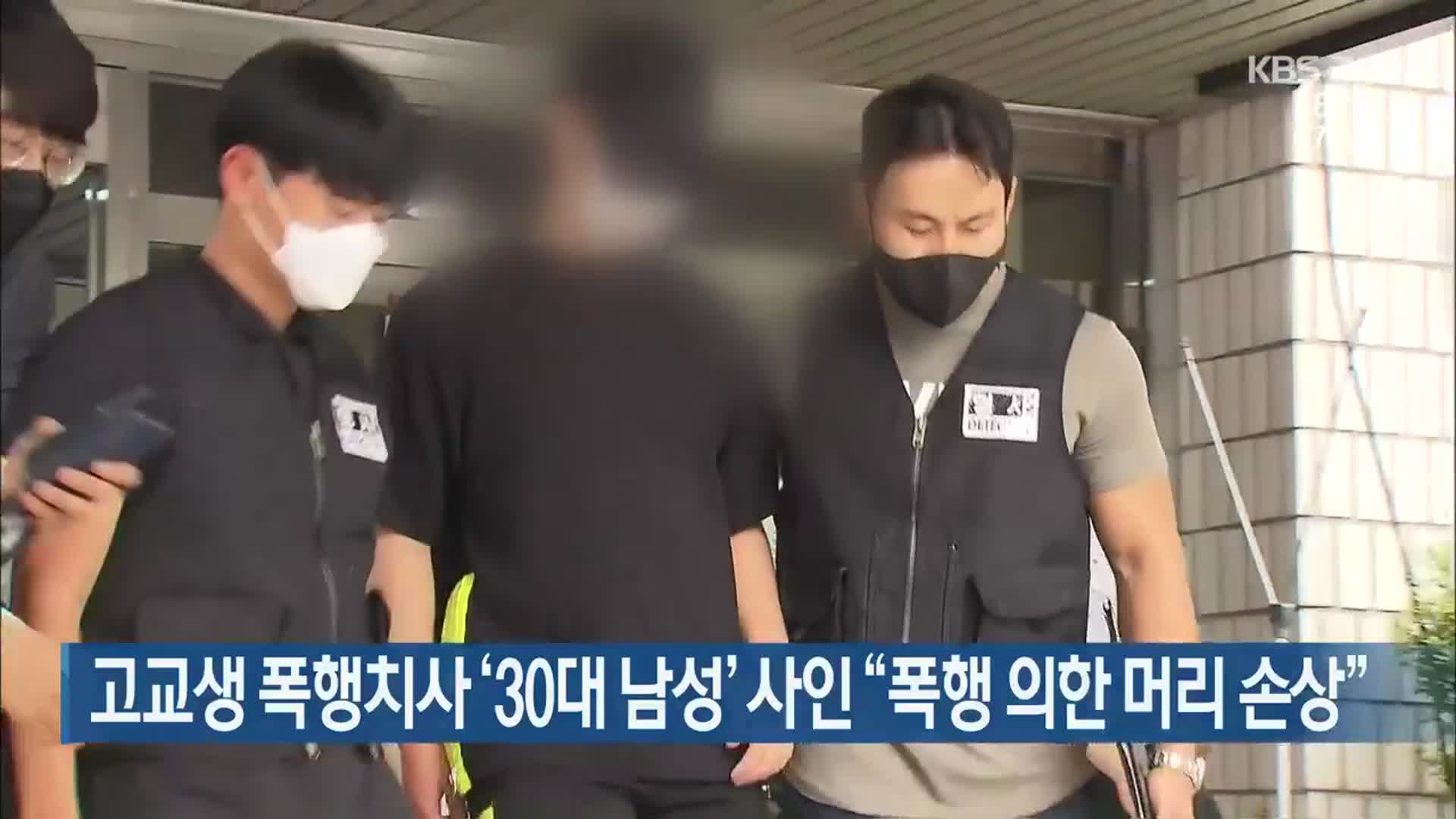 고교생 폭행치사 ‘30대 남성’ 사인 “폭행 의한 머리 손상”