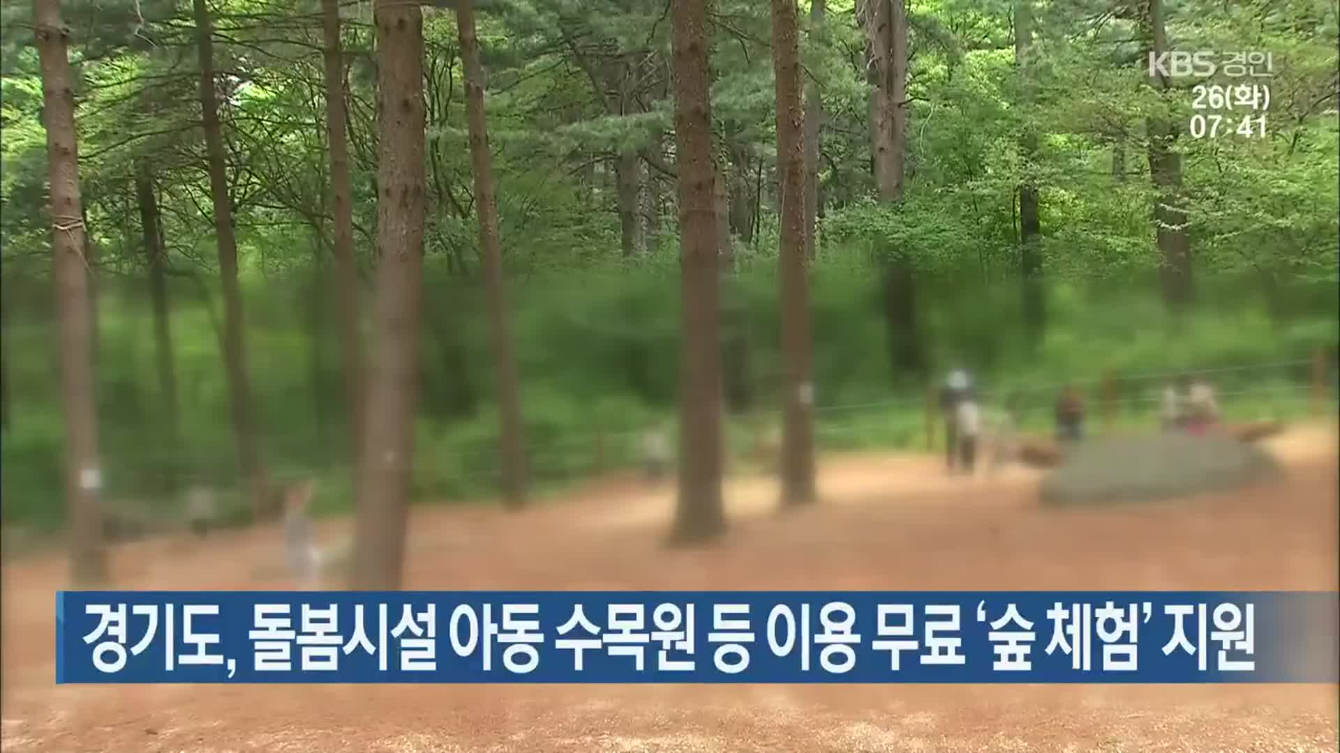 경기도, 돌봄시설 아동 수목원 등 이용 무료 ‘숲 체험’ 지원