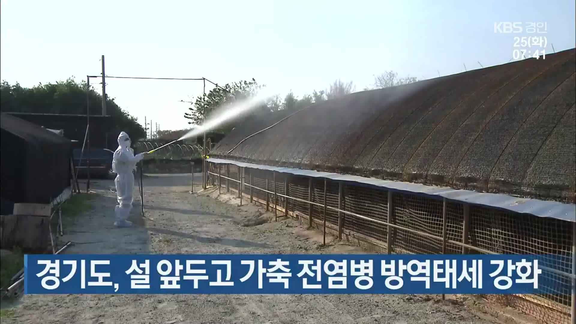 경기도, 설 앞두고 가축 전염병 방역태세 강화