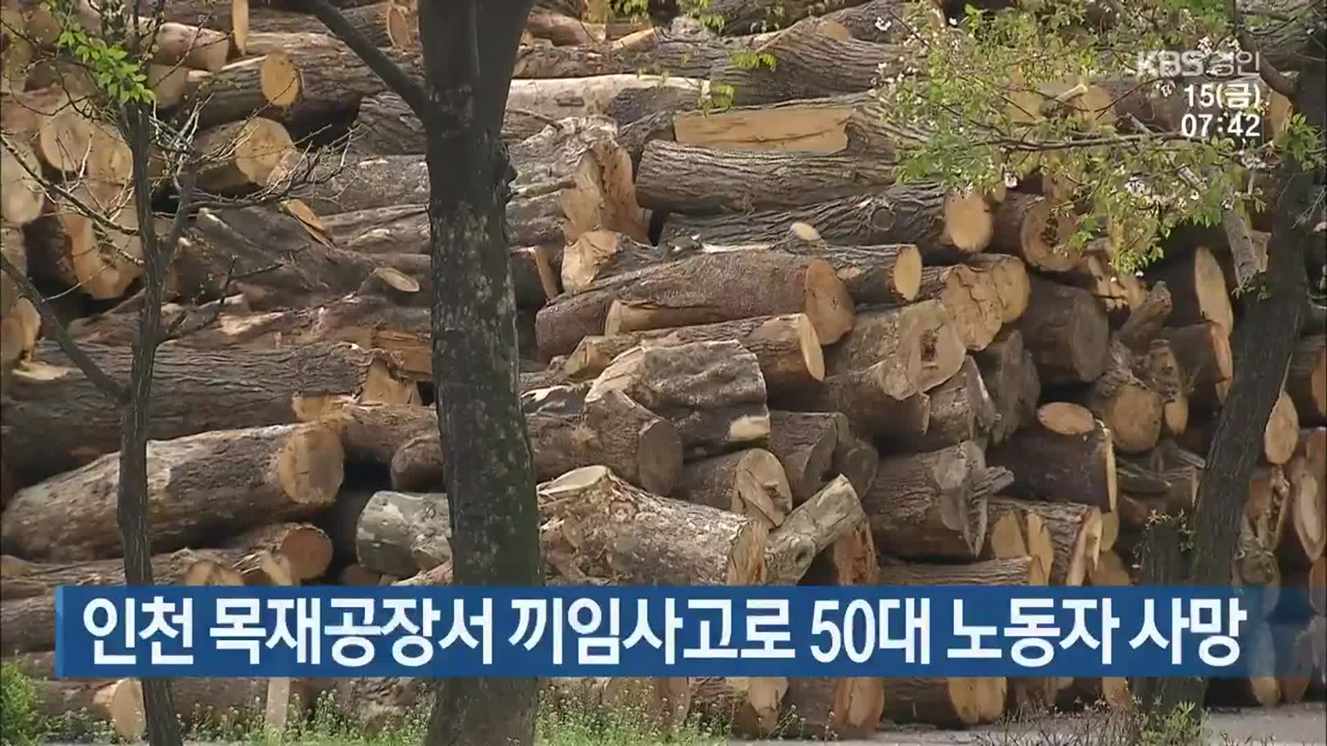 인천 목재공장서 끼임사고로 50대 노동자 사망