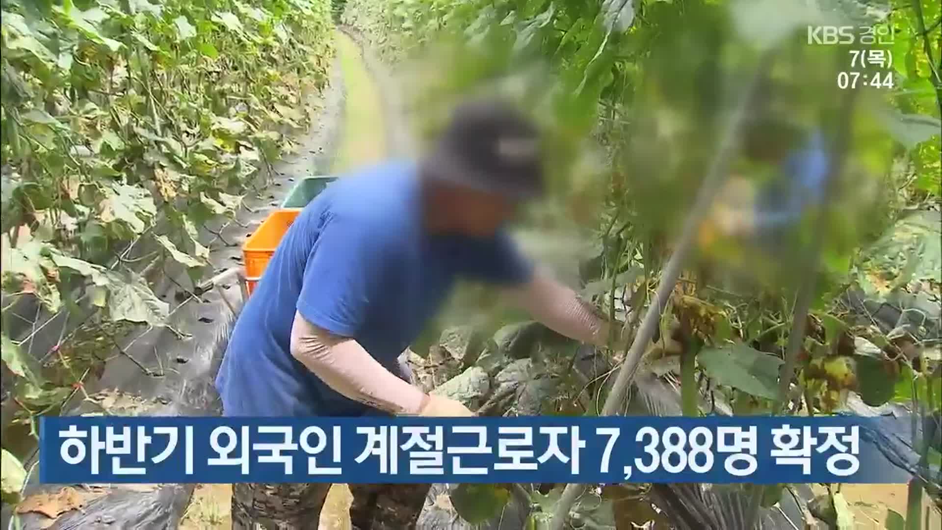 하반기 외국인 계절근로자 7,388명 확정